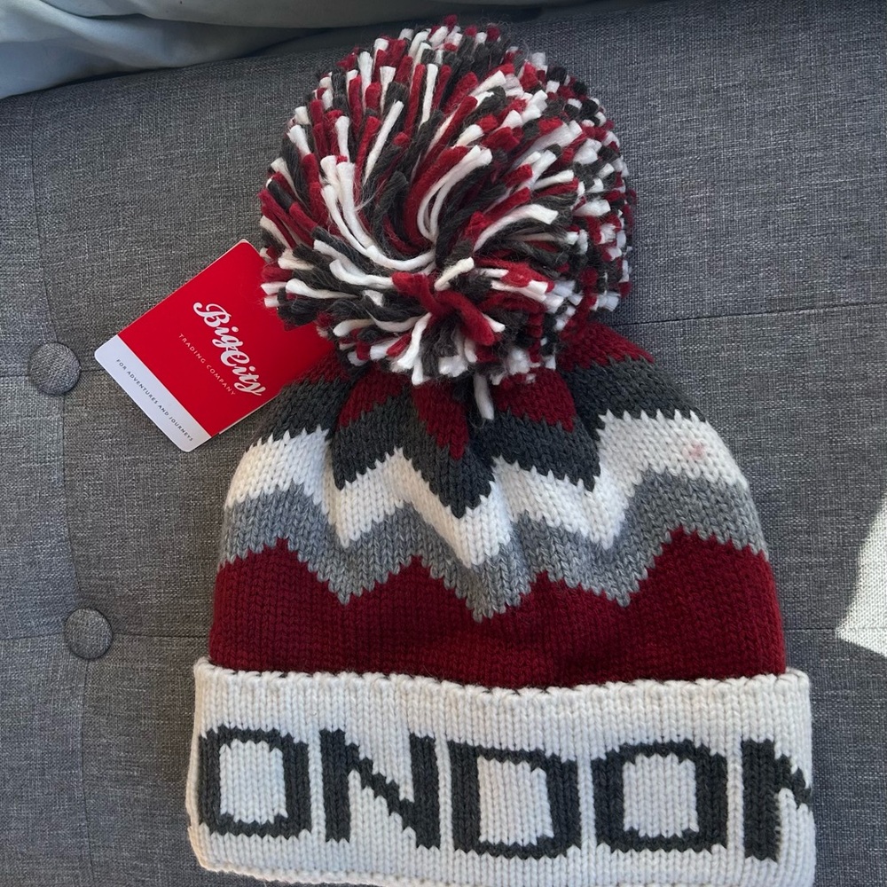NWT-London Pom Pom Beanie
